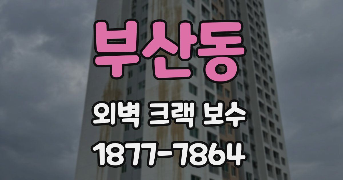 부산동 외벽 크랙 보수