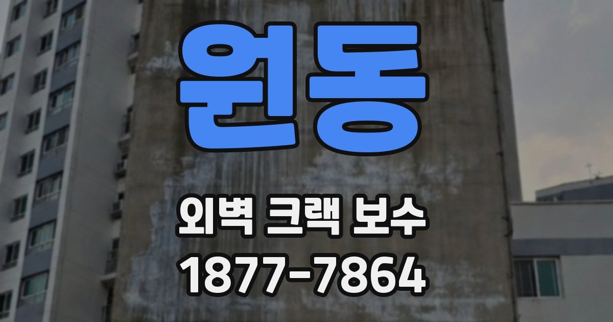 원동 외벽 크랙 보수