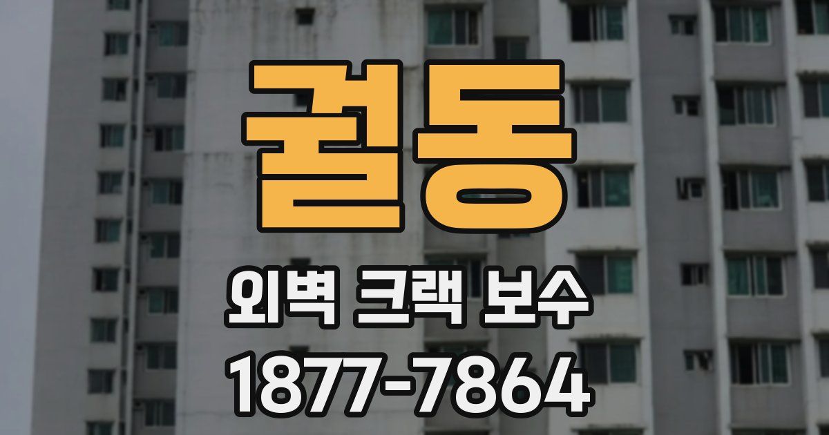 궐동 외벽 크랙 보수