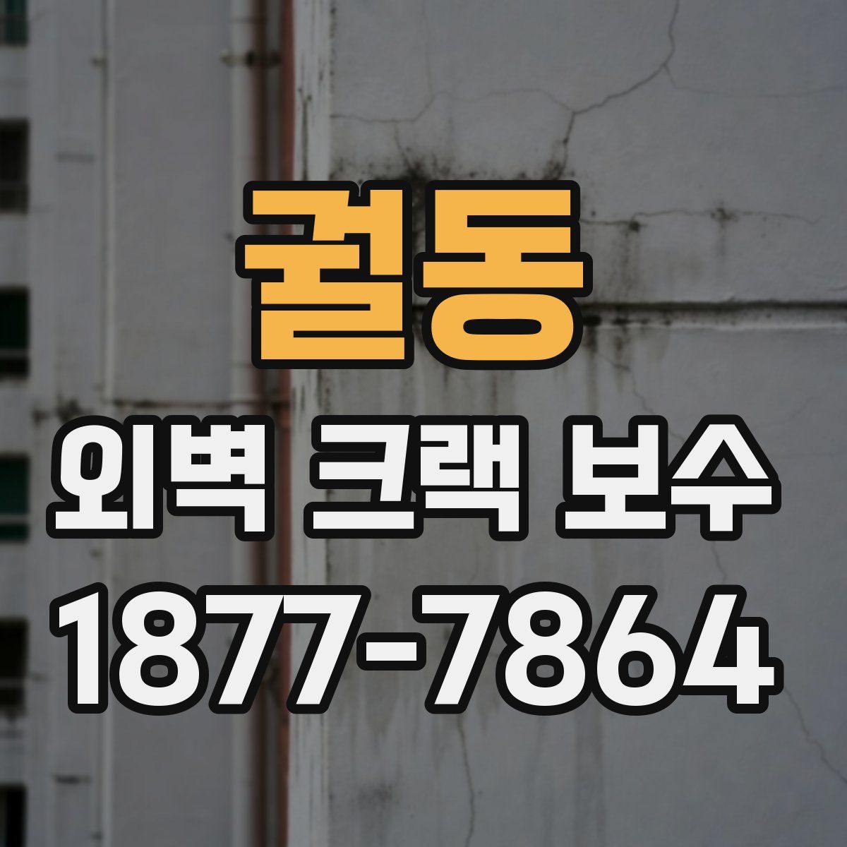 궐동 외벽 크랙 보수