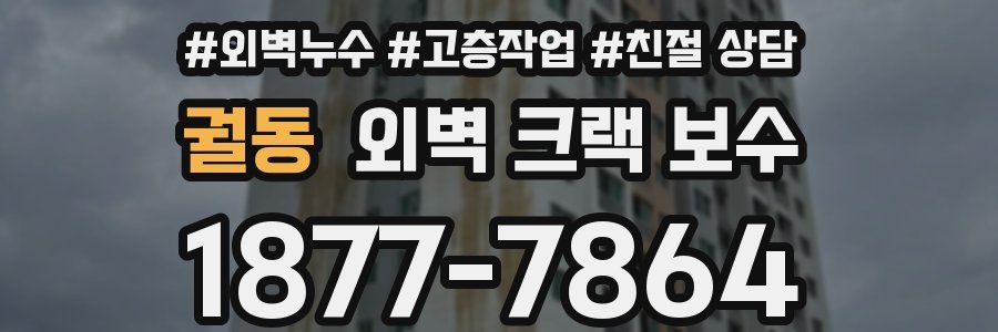 궐동 외벽 크랙 보수