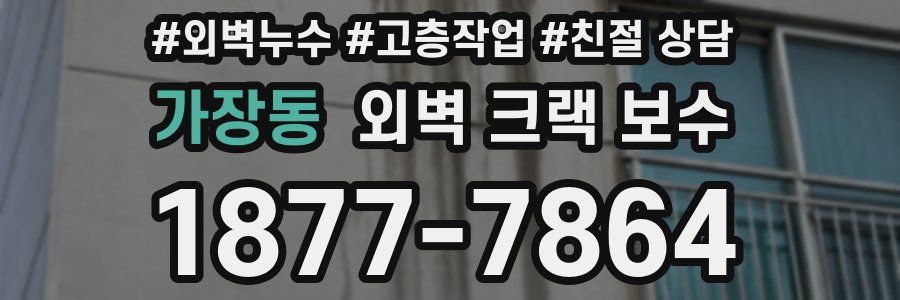 가장동 외벽 크랙 보수