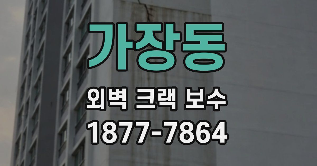 가장동 외벽 크랙 보수