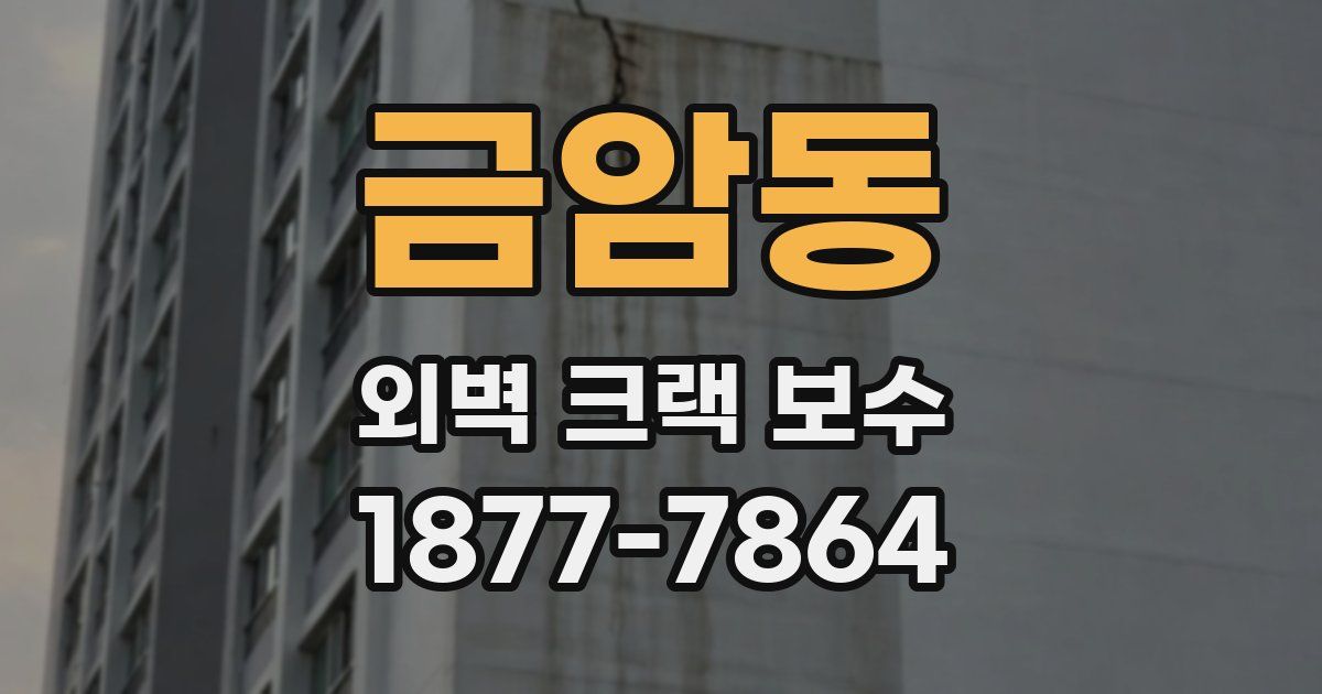 금암동 외벽 크랙 보수