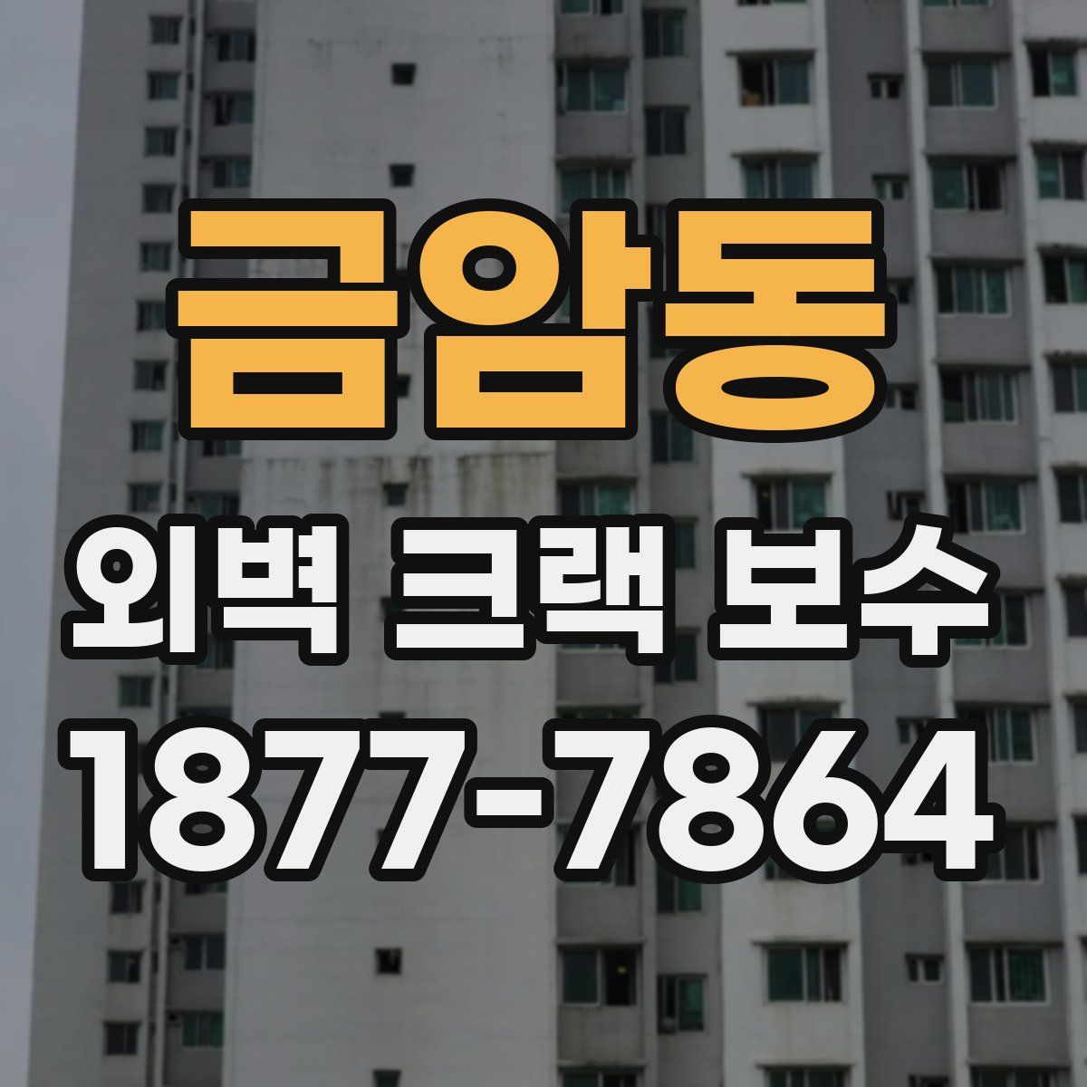 금암동 외벽 크랙 보수