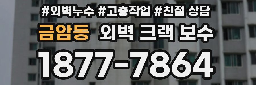 금암동 외벽 크랙 보수