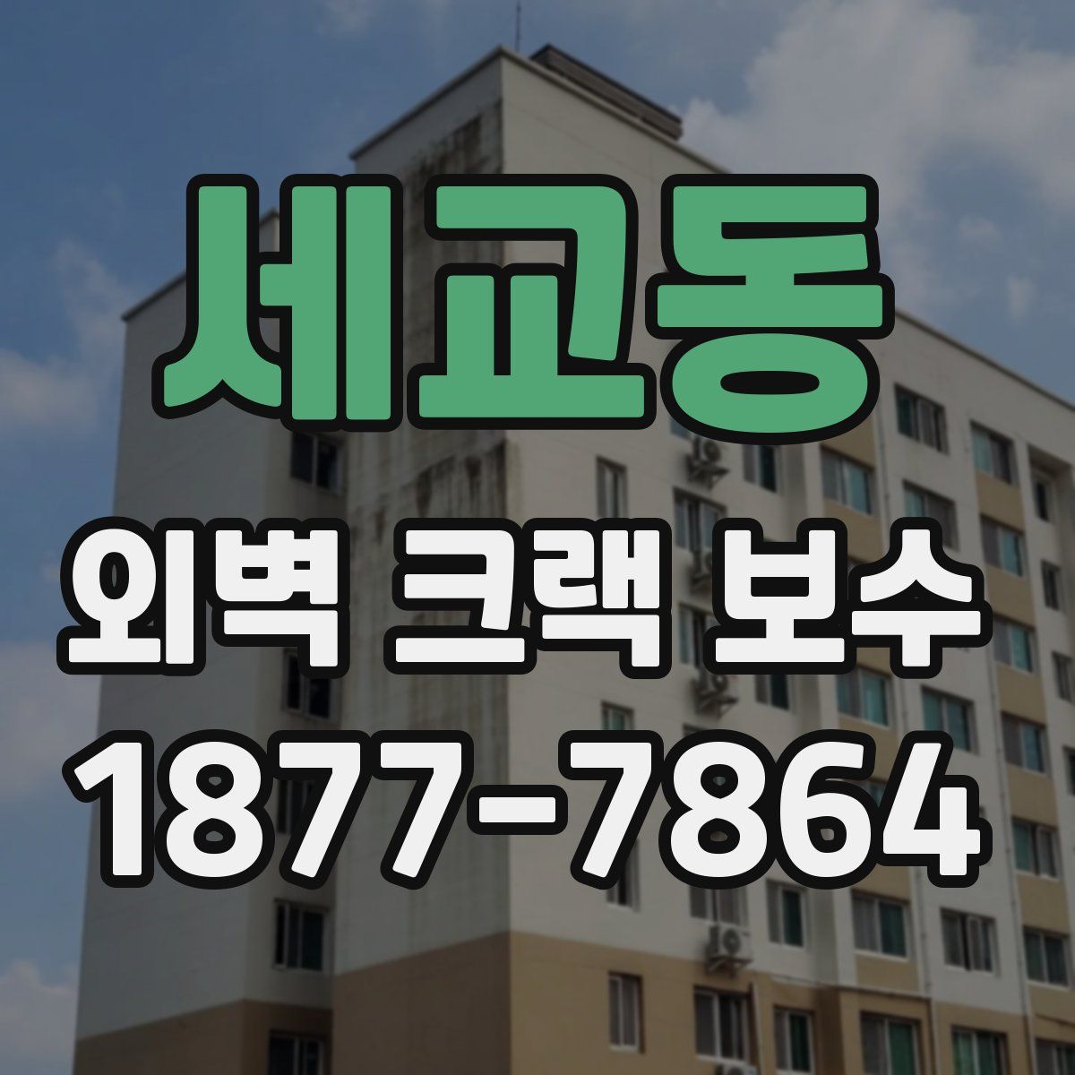 세교동 외벽 크랙 보수