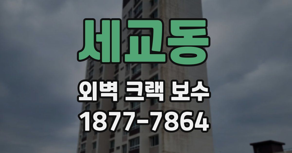 세교동 외벽 크랙 보수