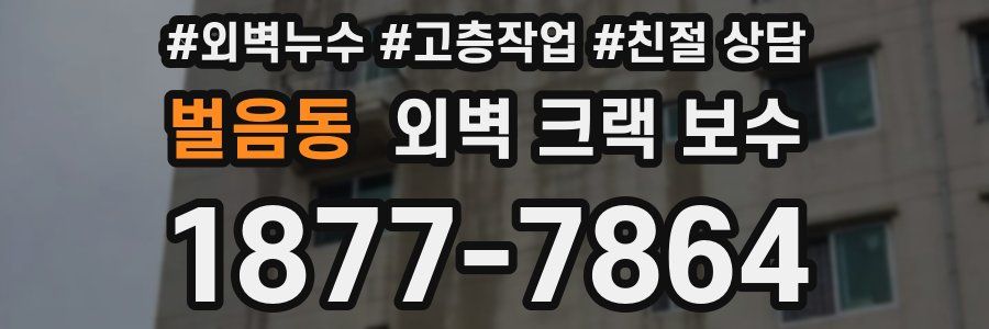 벌음동 외벽 크랙 보수