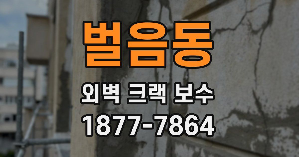 벌음동 외벽 크랙 보수