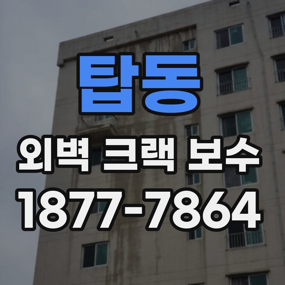 탑동 외벽 크랙 보수