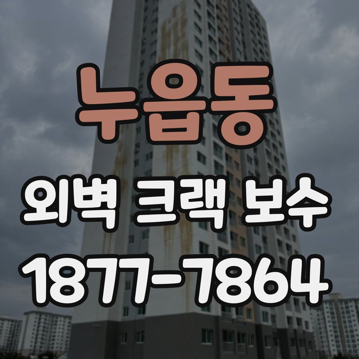 누읍동 외벽 크랙 보수