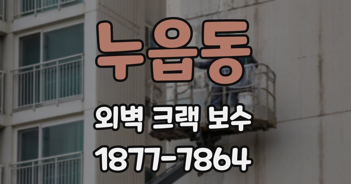 누읍동 외벽 크랙 보수
