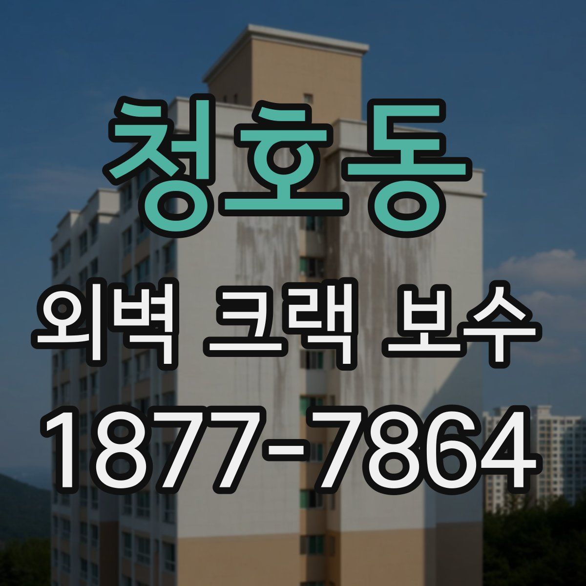 청호동 외벽 크랙 보수