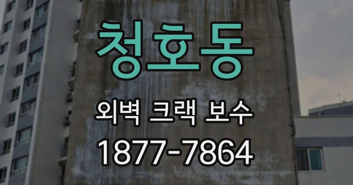청호동 외벽 크랙 보수