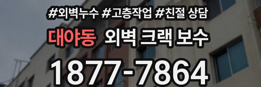 대야동 외벽 크랙 보수