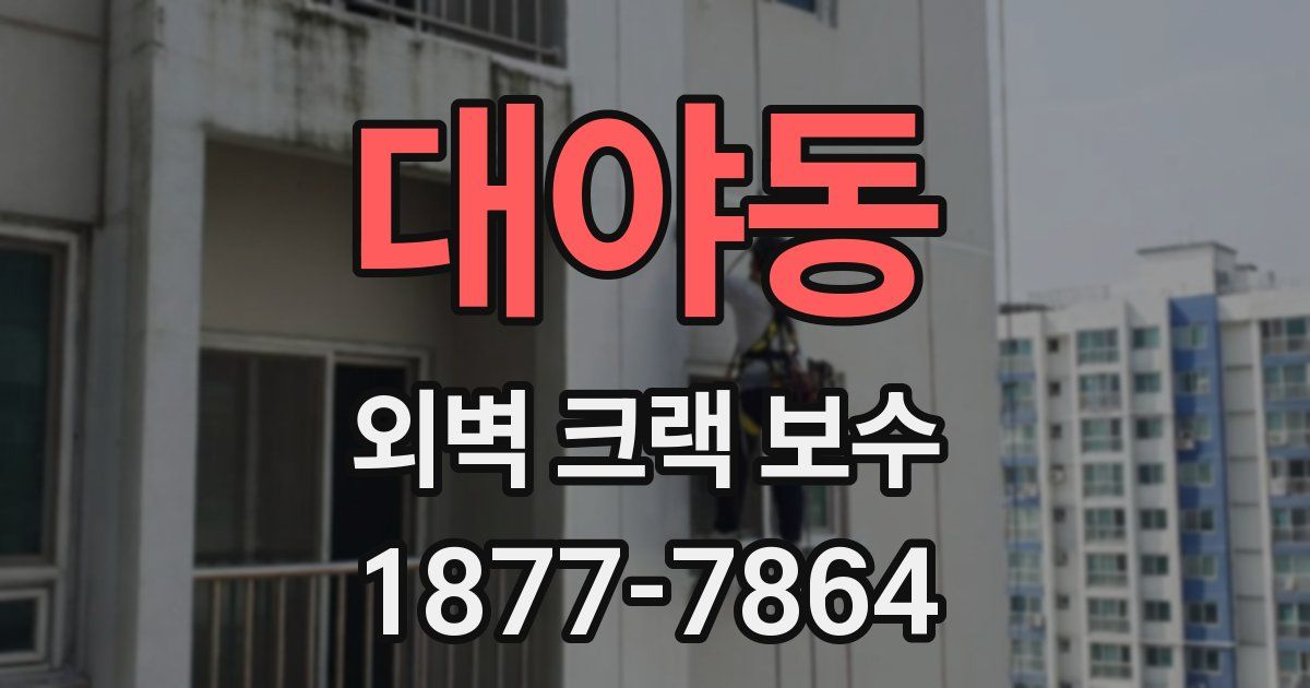 대야동 외벽 크랙 보수