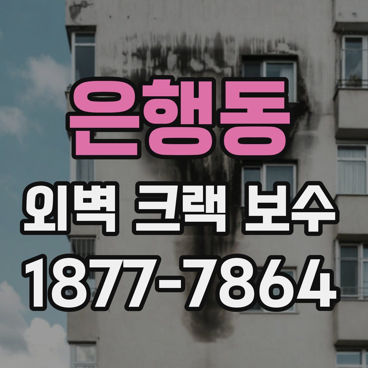 은행동 외벽 크랙 보수