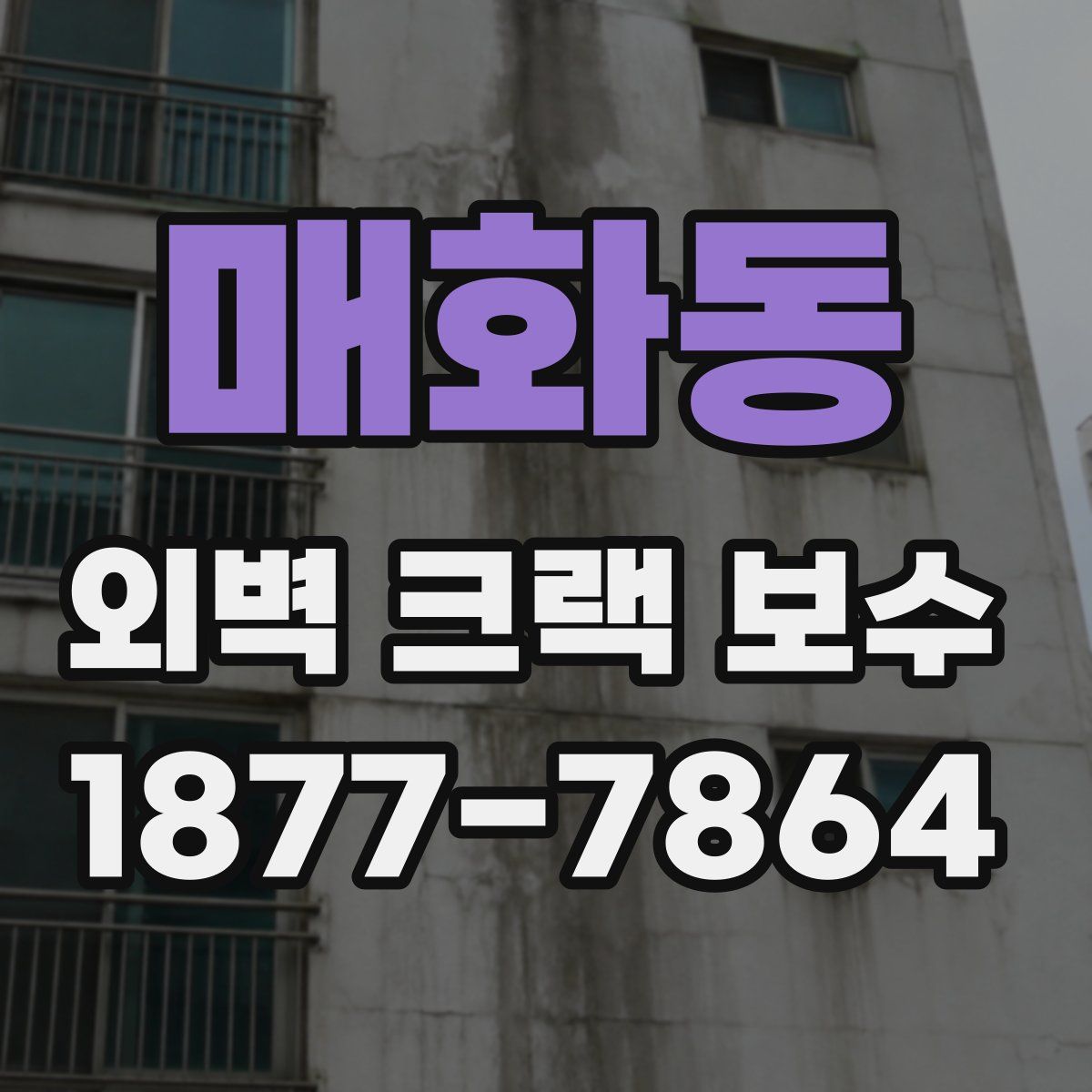 매화동 외벽 크랙 보수