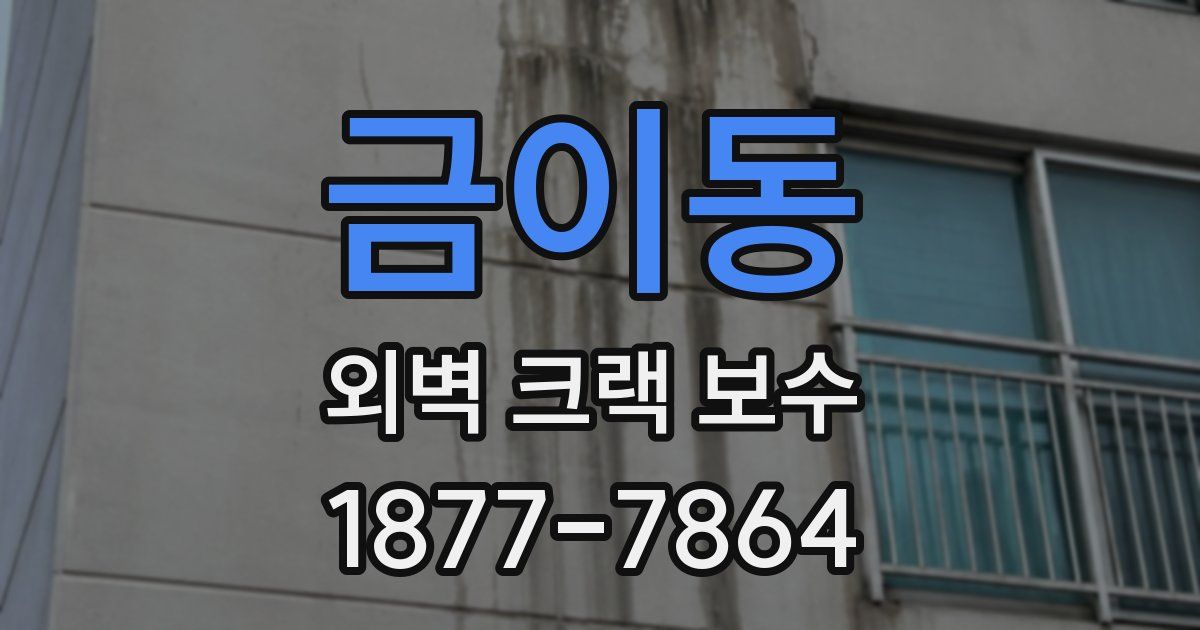 금이동 외벽 크랙 보수