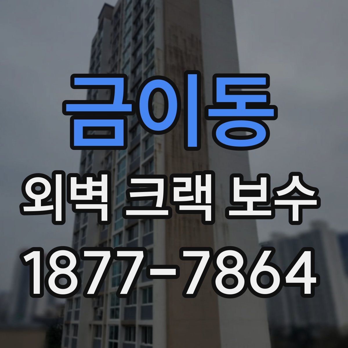 금이동 외벽 크랙 보수
