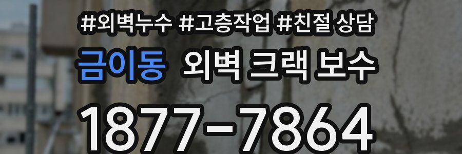 금이동 외벽 크랙 보수