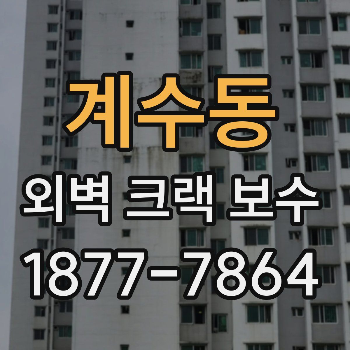 계수동 외벽 크랙 보수