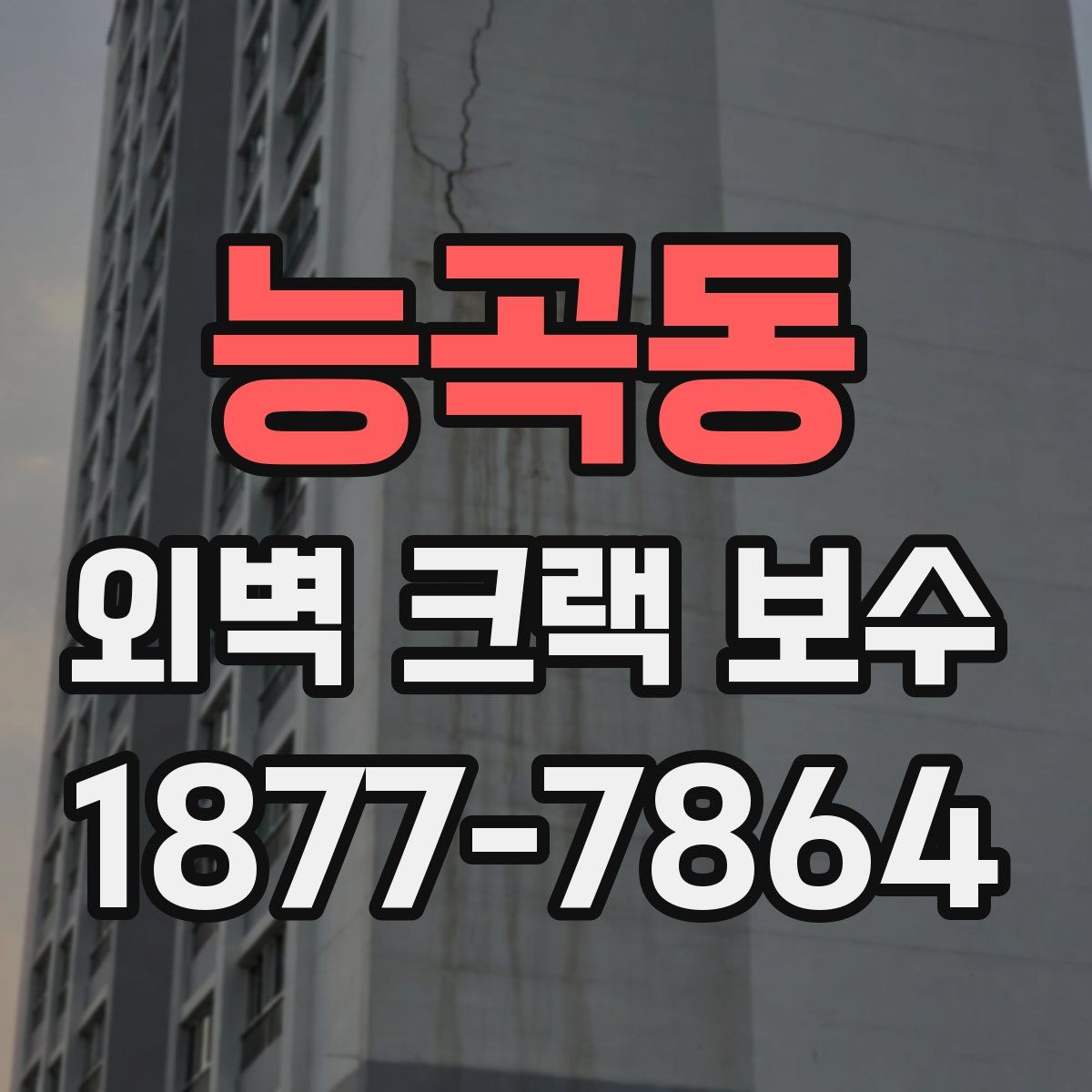 능곡동 외벽 크랙 보수