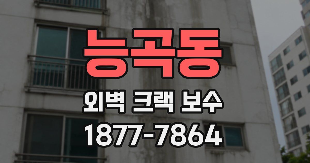 능곡동 외벽 크랙 보수