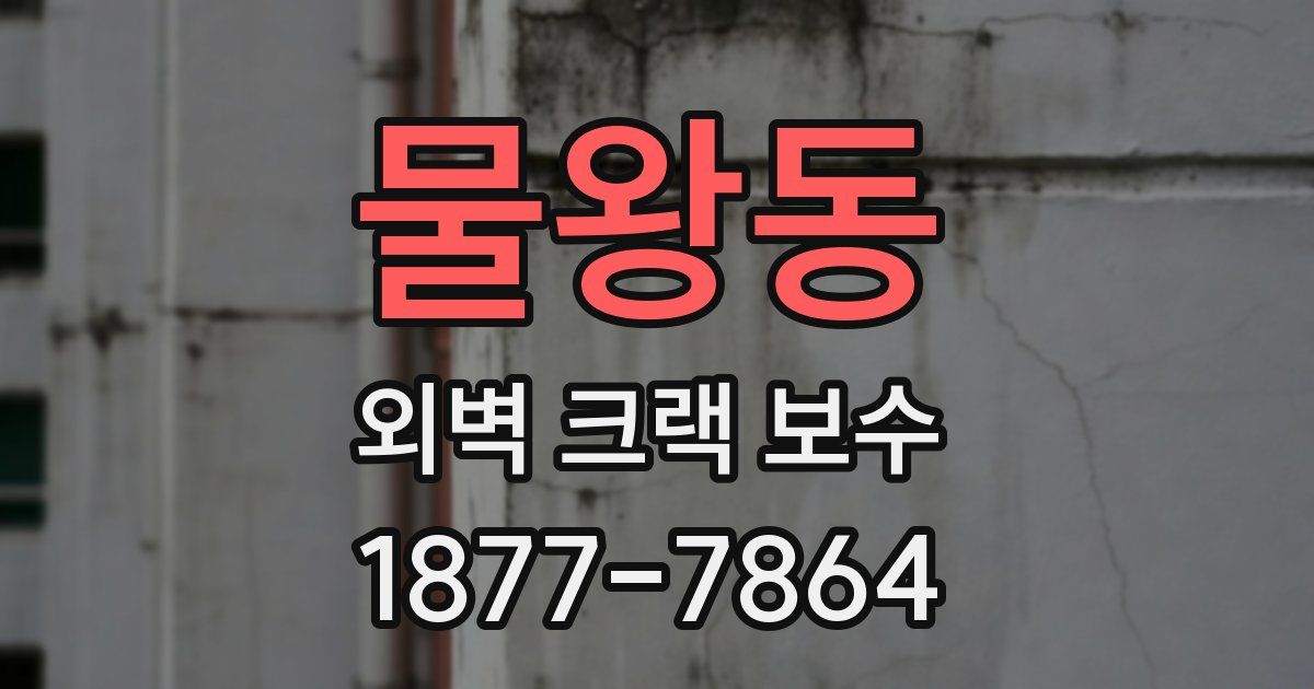 물왕동 외벽 크랙 보수