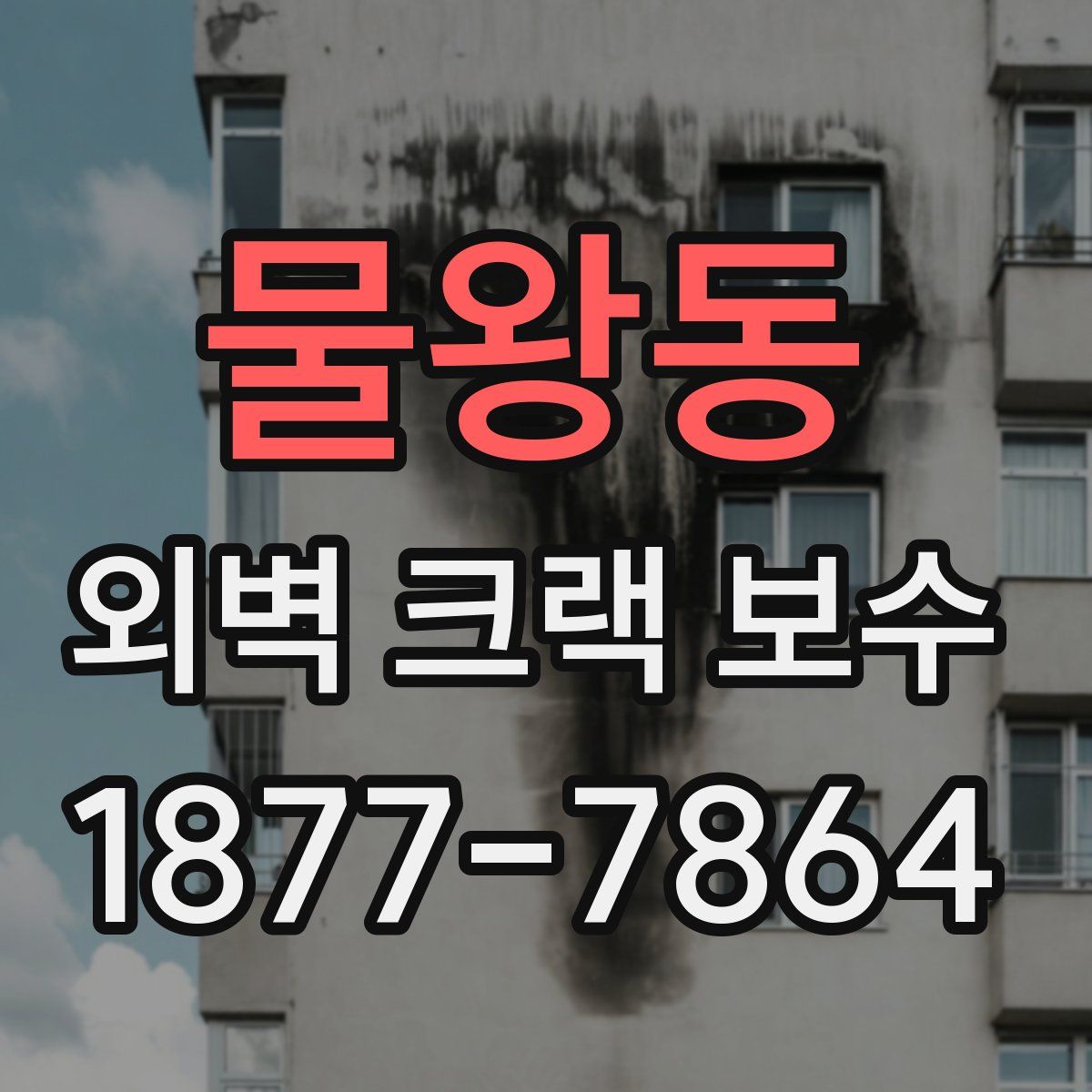 물왕동 외벽 크랙 보수