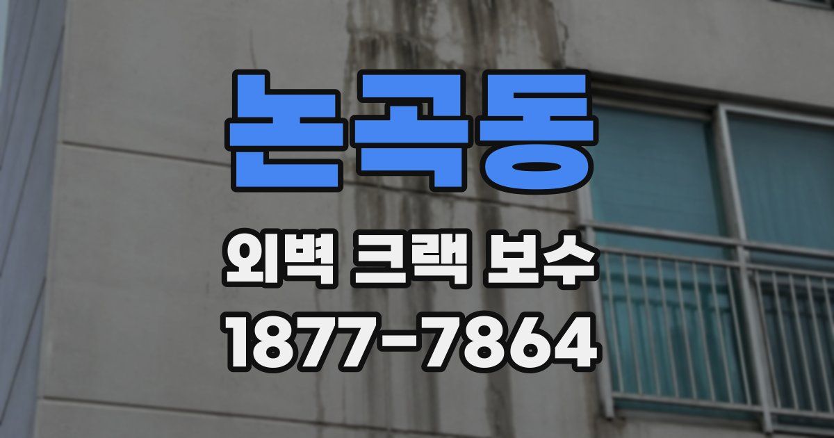 논곡동 외벽 크랙 보수