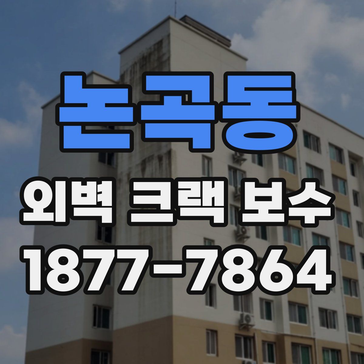 논곡동 외벽 크랙 보수