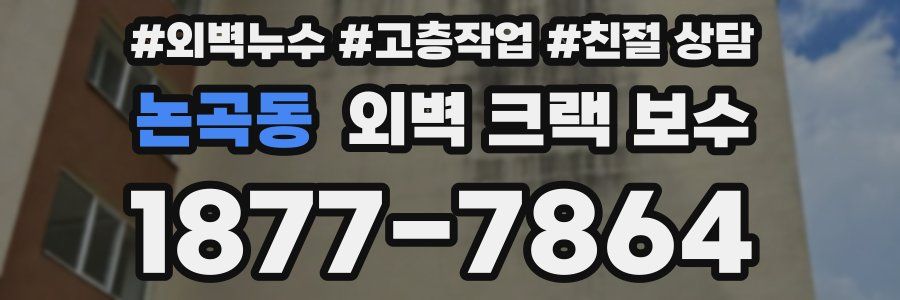 논곡동 외벽 크랙 보수