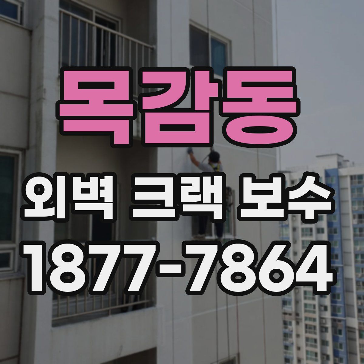 목감동 외벽 크랙 보수