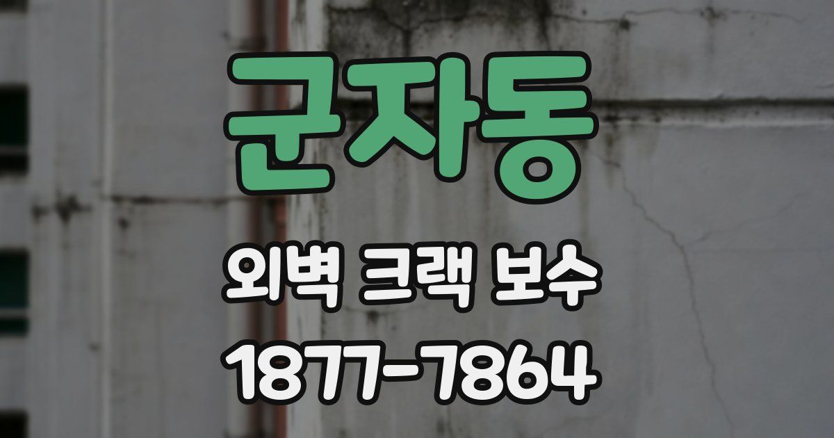 군자동 외벽 크랙 보수