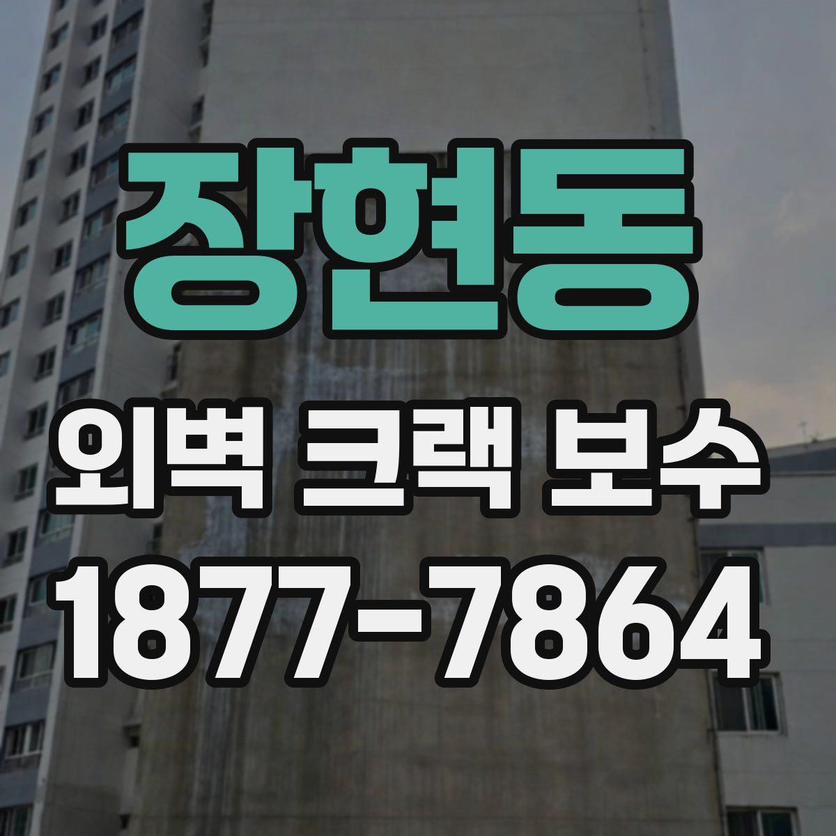 장현동 외벽 크랙 보수