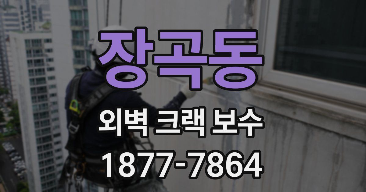 장곡동 외벽 크랙 보수