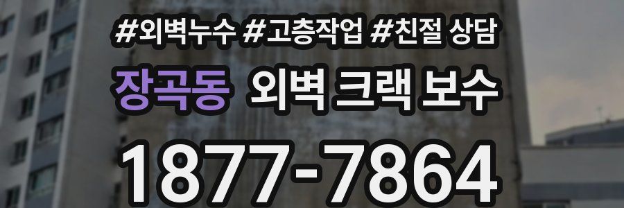 장곡동 외벽 크랙 보수