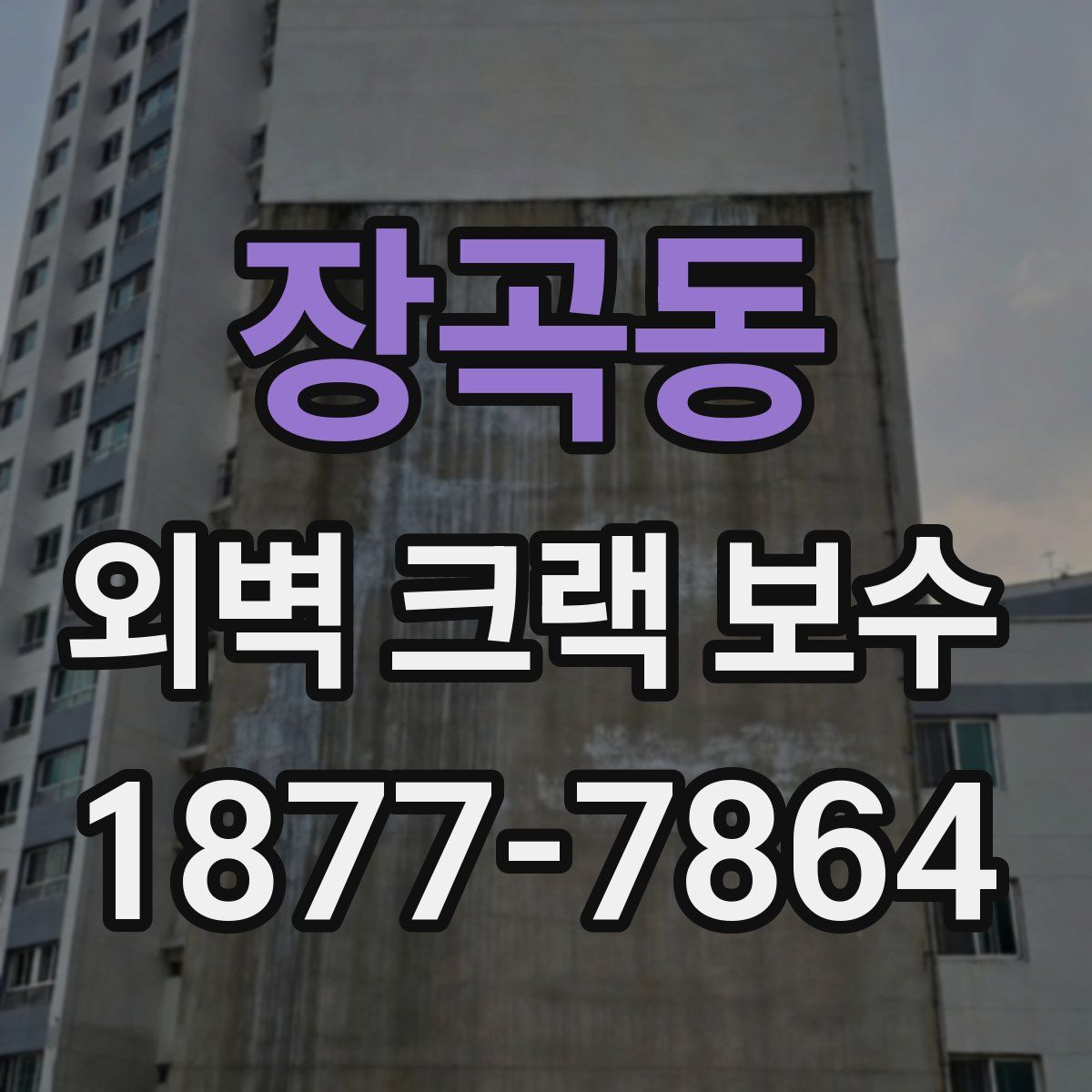 장곡동 외벽 크랙 보수