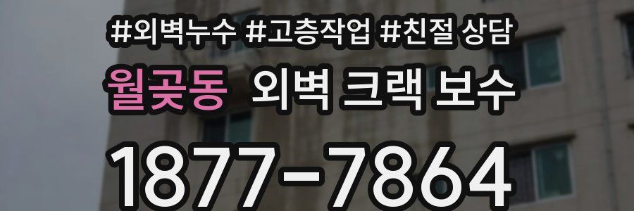 월곶동 외벽 크랙 보수