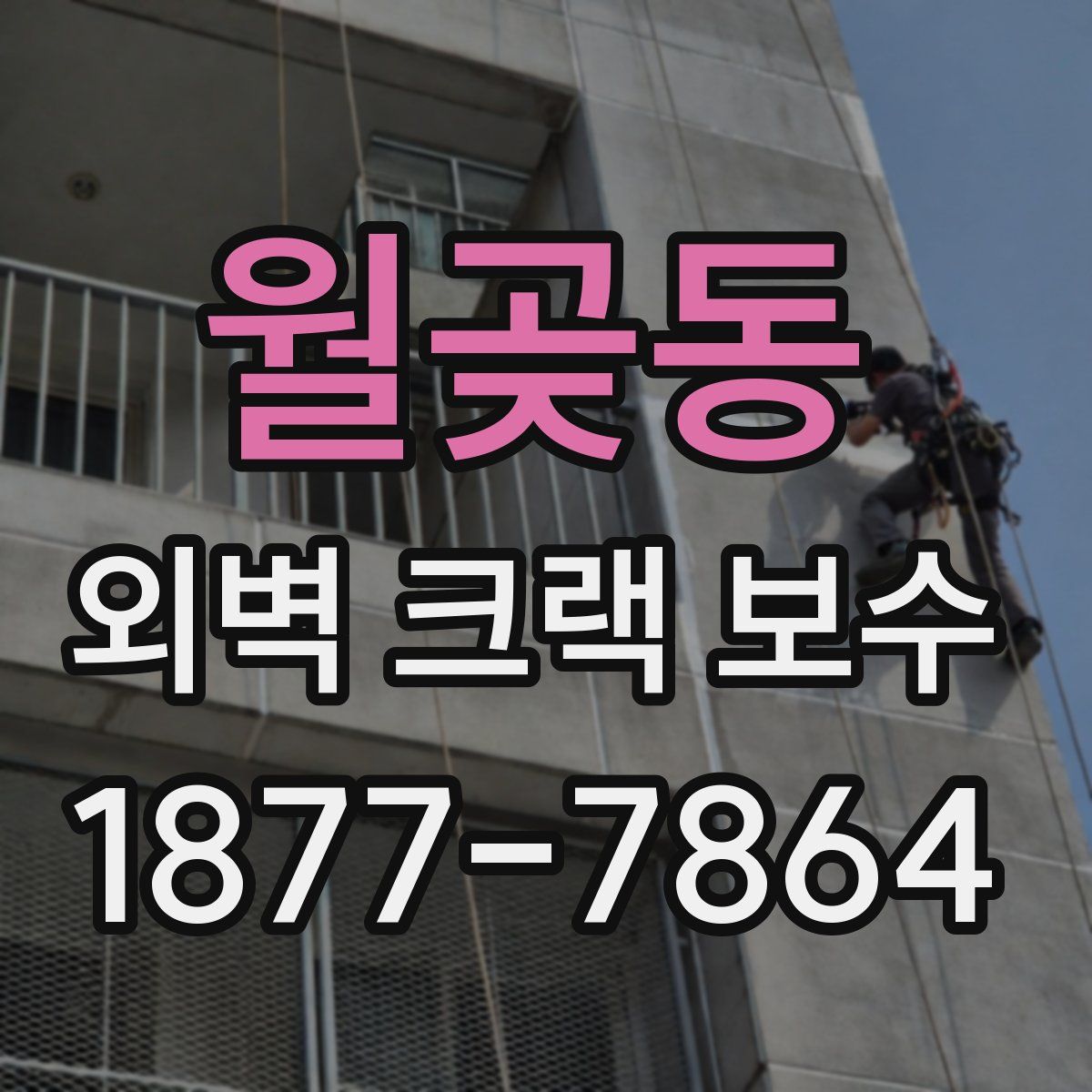 월곶동 외벽 크랙 보수