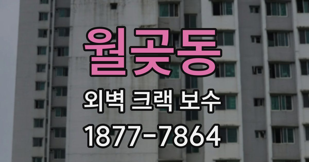월곶동 외벽 크랙 보수
