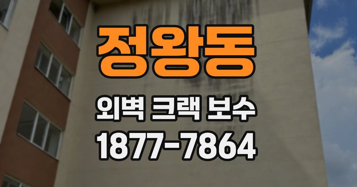정왕동 외벽 크랙 보수