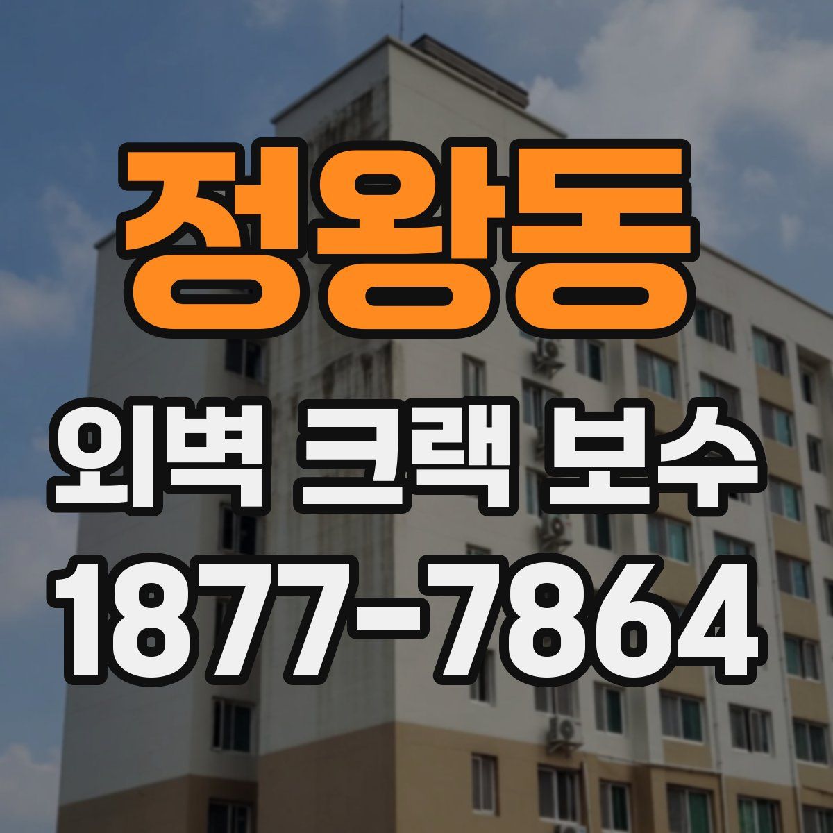 정왕동 외벽 크랙 보수