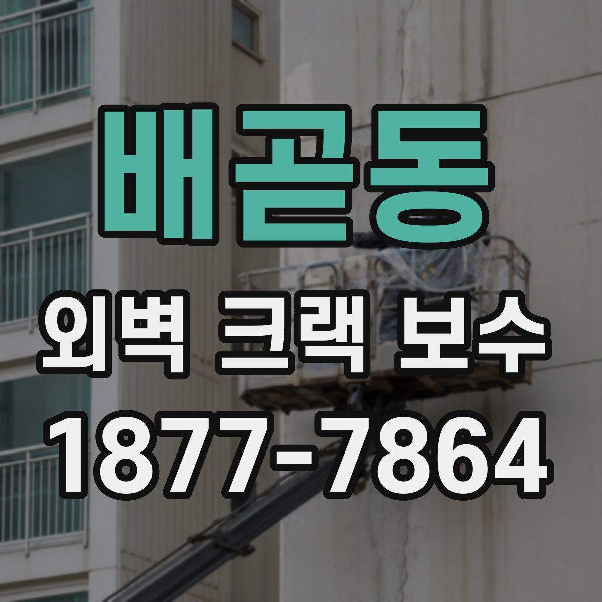 배곧동 외벽 크랙 보수