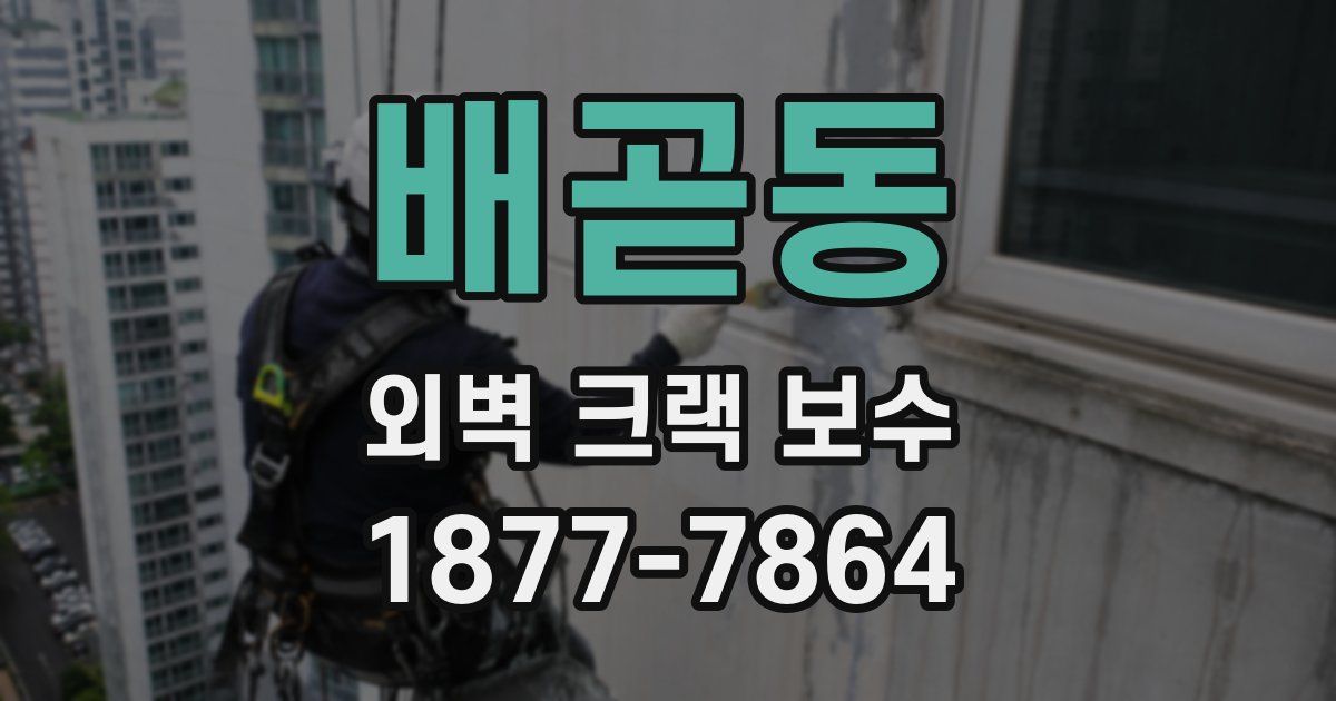 배곧동 외벽 크랙 보수