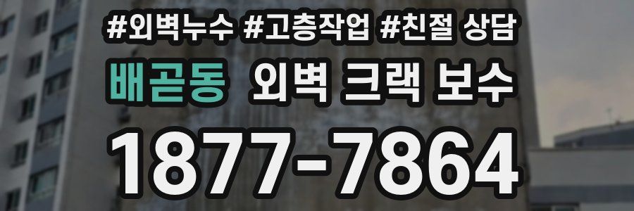 배곧동 외벽 크랙 보수