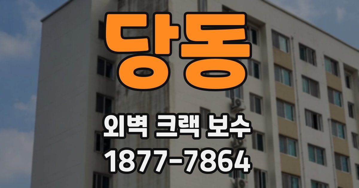 당동 외벽 크랙 보수