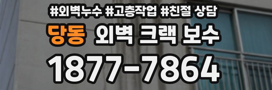 당동 외벽 크랙 보수